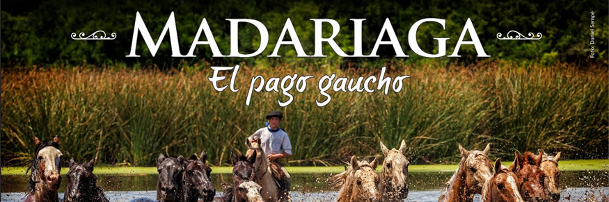 Madariaga Inversiones