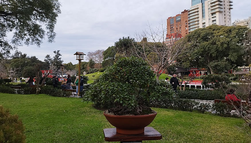 Jard&iacute;n Japon&eacute;s