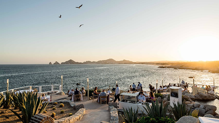 Los Cabos: donde la gastronomía se convierte en una experiencia