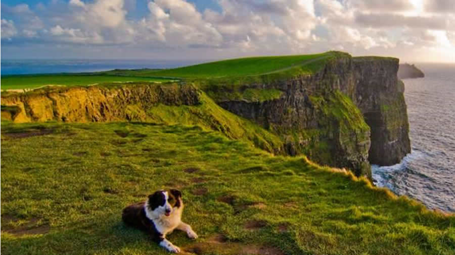 -Turismo de Irlanda elimina restricciones de salud pblica de Covid-19-
