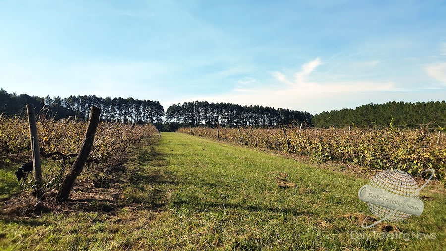 -Bodega Ecovert-