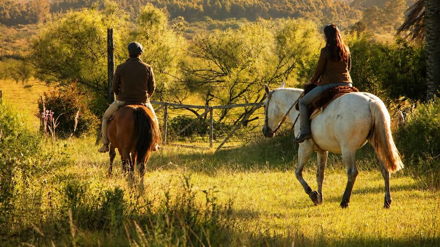 -Concordia vive el 25 de Mayo con m�ltiples actividades-