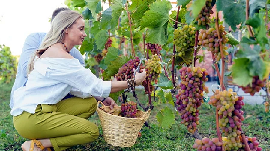 -Colombia sigue conquistando a los latinoamericanos con sus experiencias, naturaleza y gastronom�a-