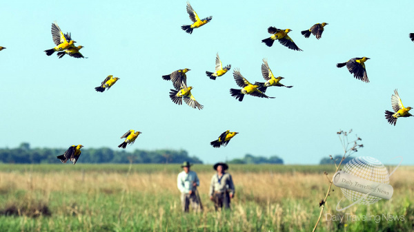 Argentina se sum� a la gran jornada mundial de observaci�n de aves