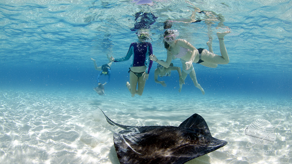 Islas Caimn: la escapada perfecta para el Mundial de Clubes