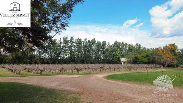 Bodega Vulliez Sermet: Historia, herencia y vino en el corazn de Coln