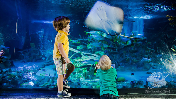 Los primeros animales nadan en SEA LIFE Florida en LEGOLAND Florida Resort