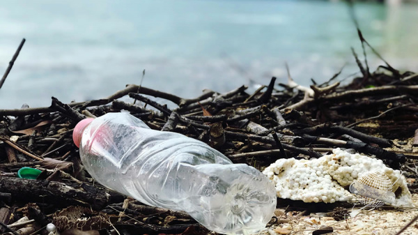La Repblica de Corea ser el pas anfitrin del Da Mundial del Medio Ambiente 2025