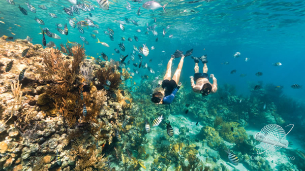 Las Bahamas se convierte en un paraso azul para buceadores y amantes de la naturaleza