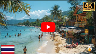 DailyWeb.tv - Recorrido Virtual por Koh Tao en 4K