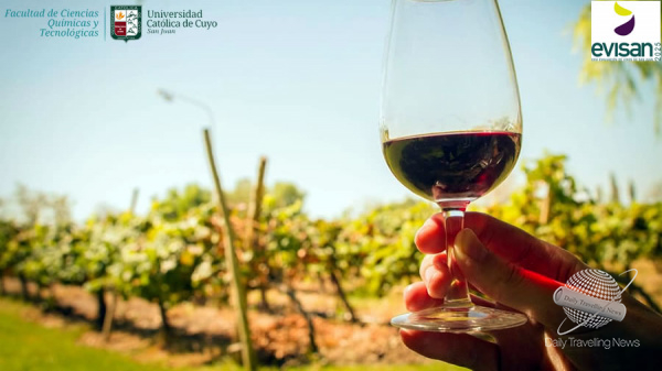 San Juan busca fortalecer la visibilidad y competitividad de sus vinos