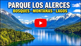DailyWeb.tv - Recorrido Virtual por el Parque Nacional Los Alerces en 4K